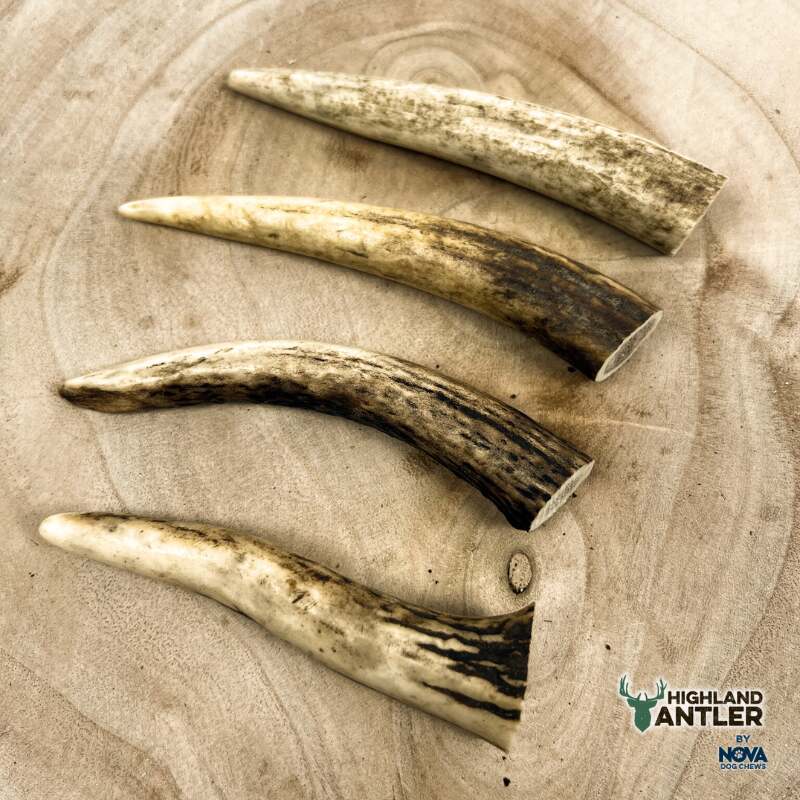 Full Antler Dog Chew