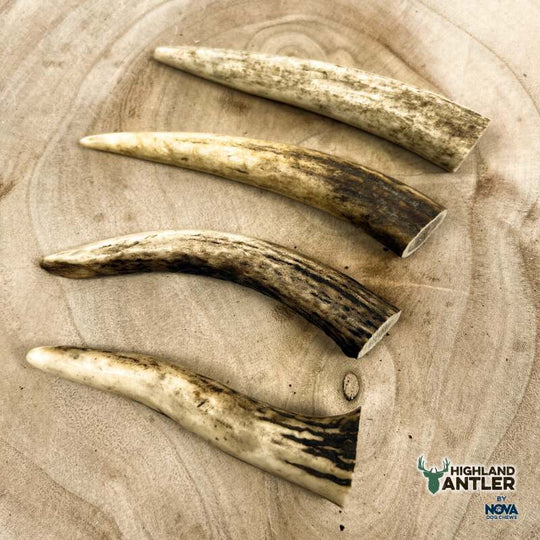 Full Antler Dog Chew