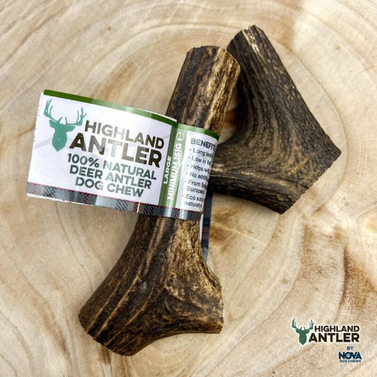 Full Antler Dog Chew