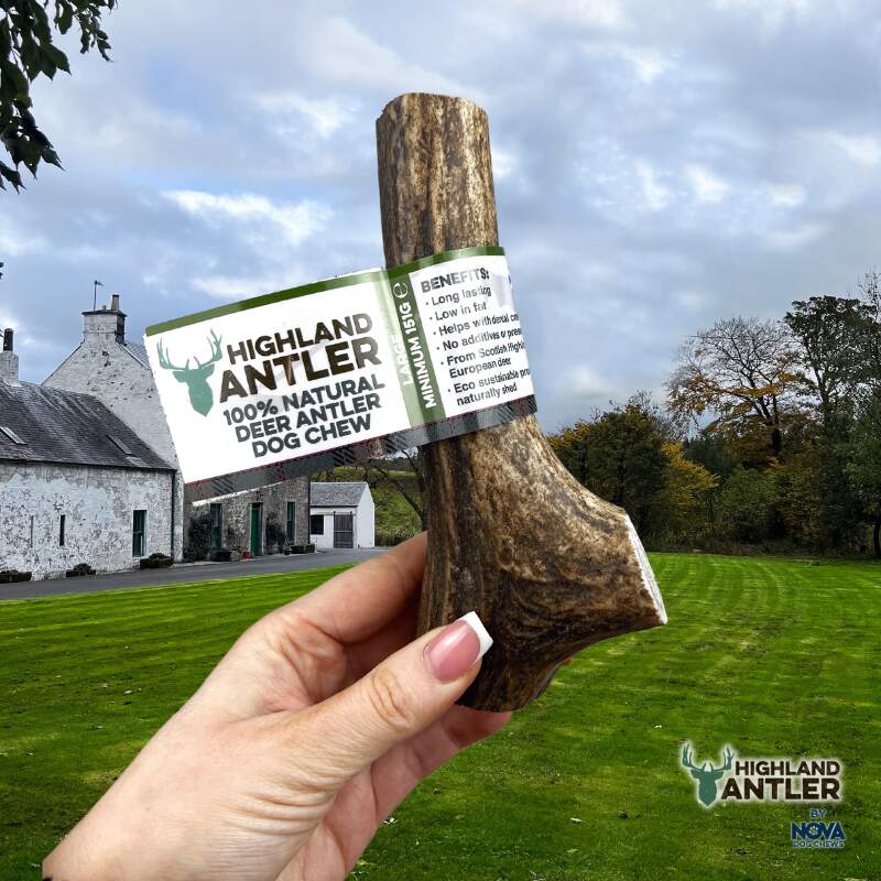 Full Antler Dog Chew