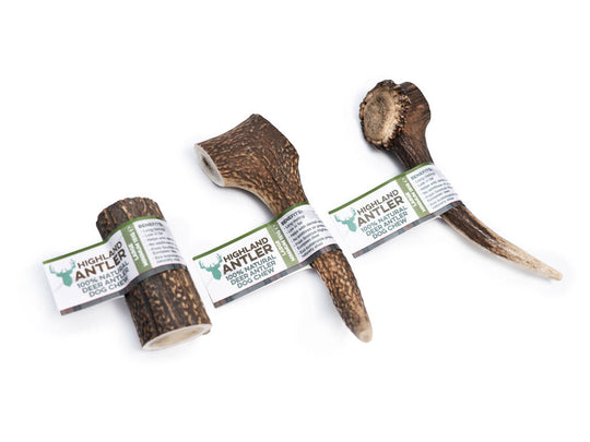 Full Antler Dog Chew