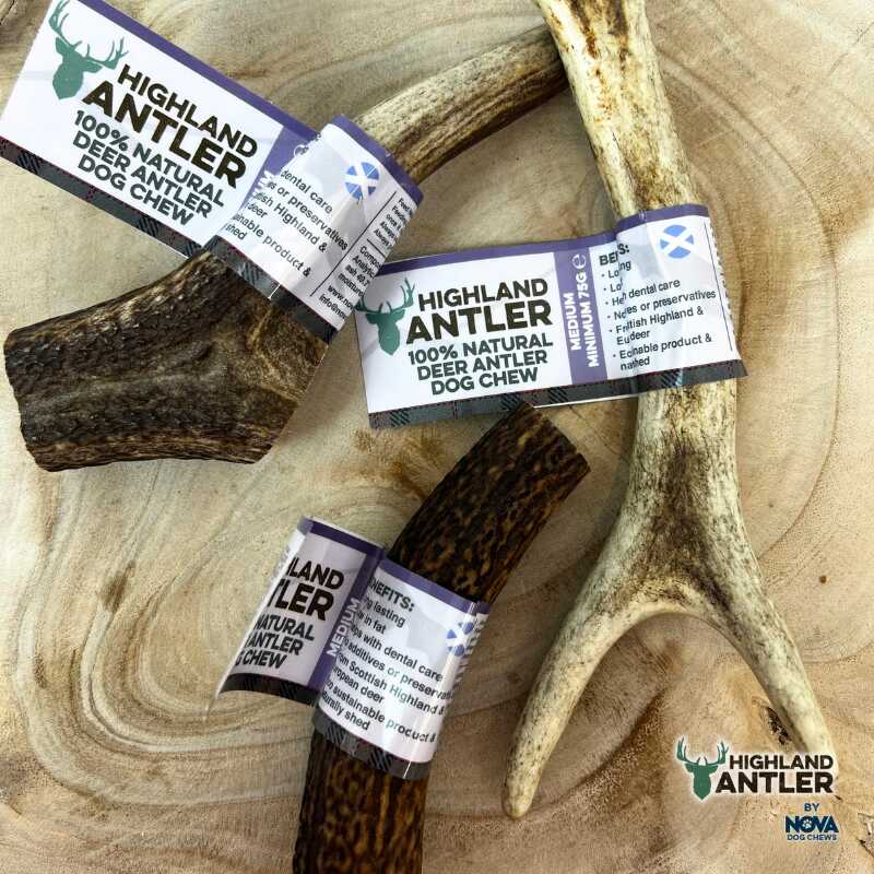Full Antler Dog Chew
