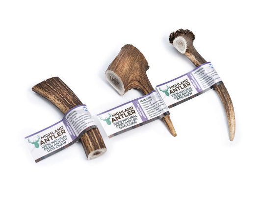 Full Antler Dog Chew