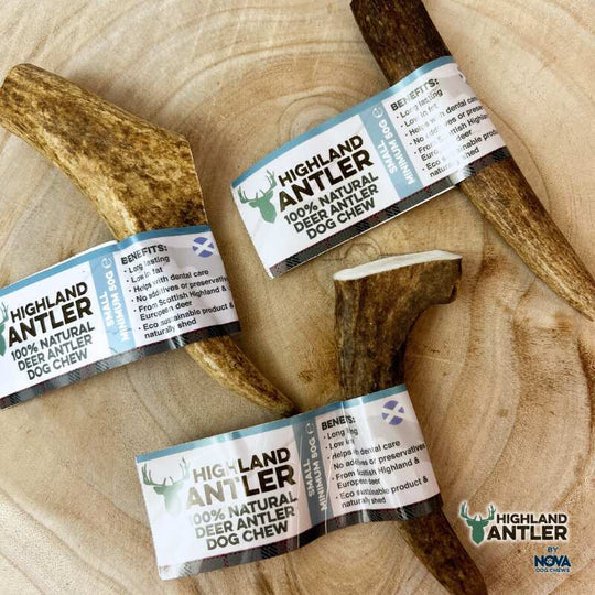 Full Antler Dog Chew
