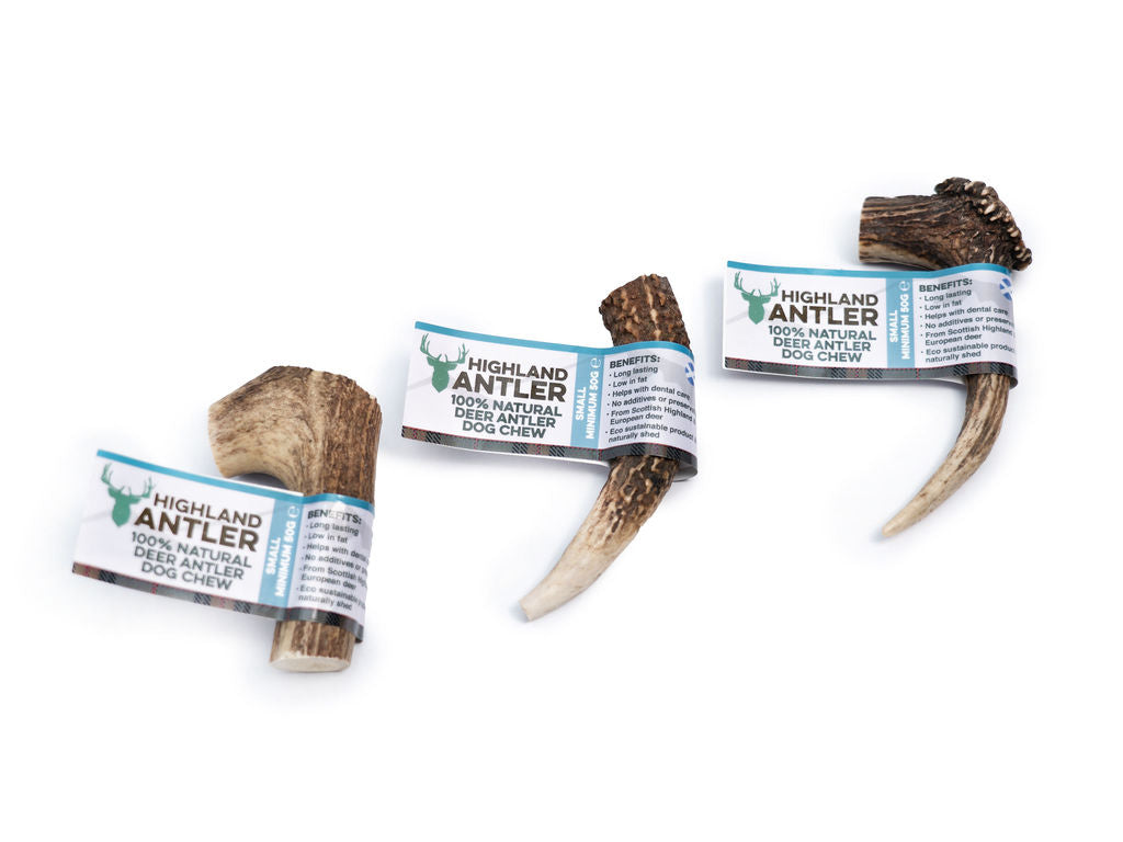 Full Antler Dog Chew