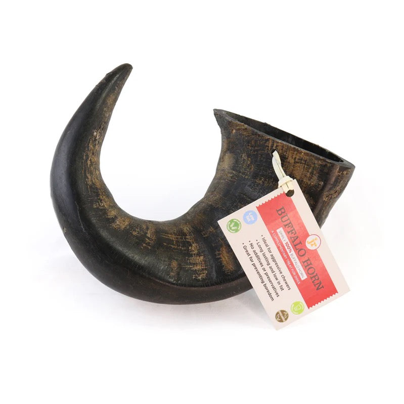 Buffalo Horns-4