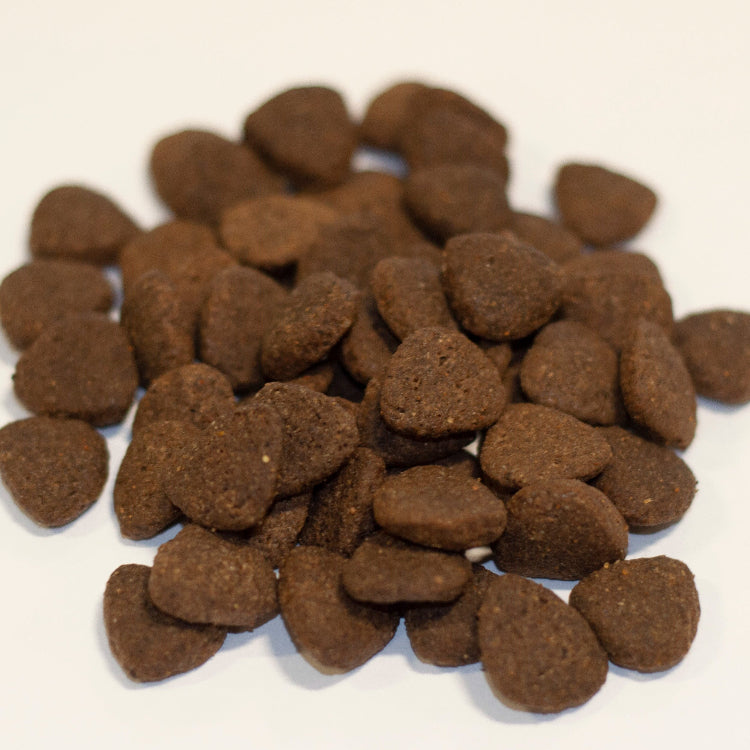 A close-up view of Finn's Angus Beef Dry Complete Dog Food. Brown kibble.