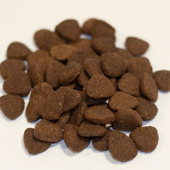 A close-up view of Finn's Angus Beef Dry Complete Dog Food. Brown kibble.