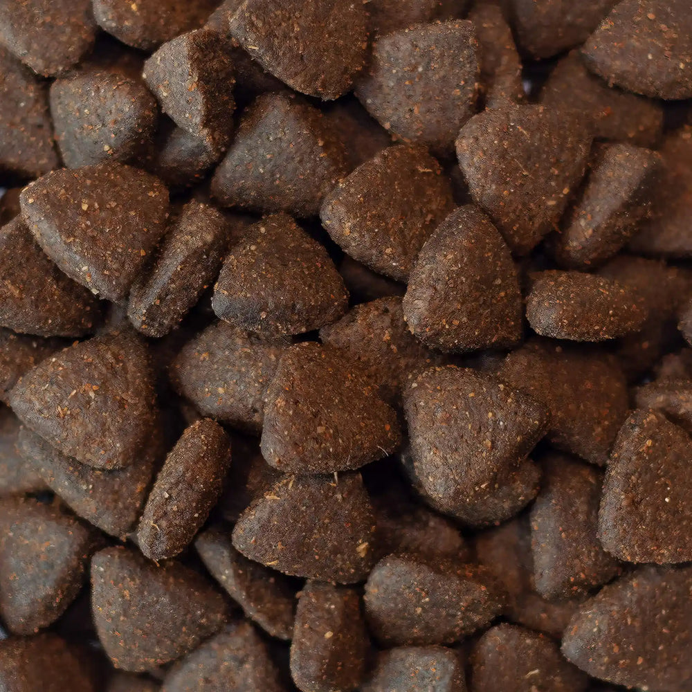 Finn's Free Range Chicken Dry Complete Dog Food