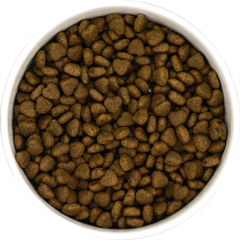 Finn's Peptide+ Veterinary Approved - Dental Care