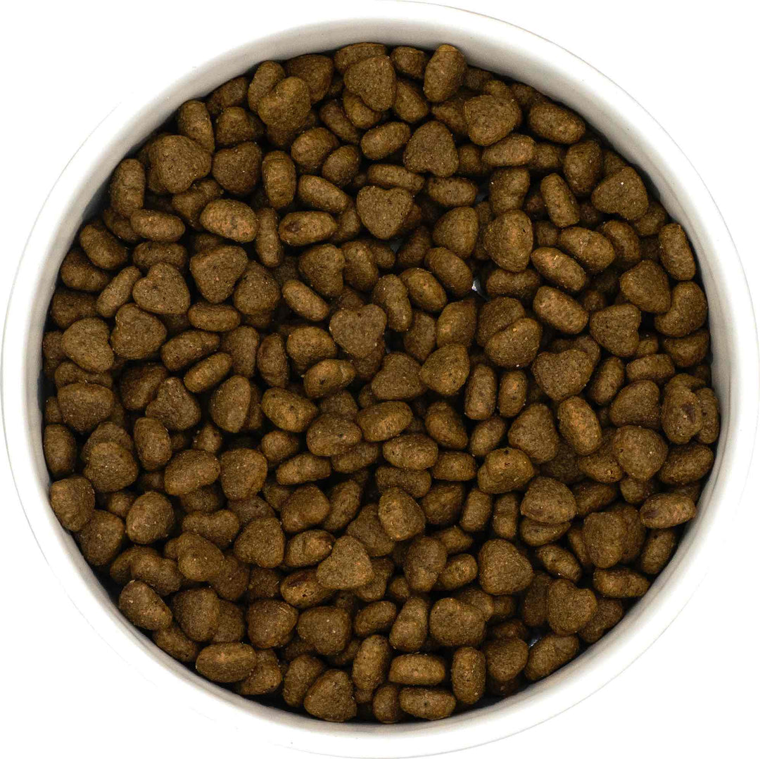 Finn's Peptide+ Veterinary Approved - Dental Care