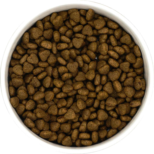 Finn's Peptide+ Veterinary Approved - Dental Care