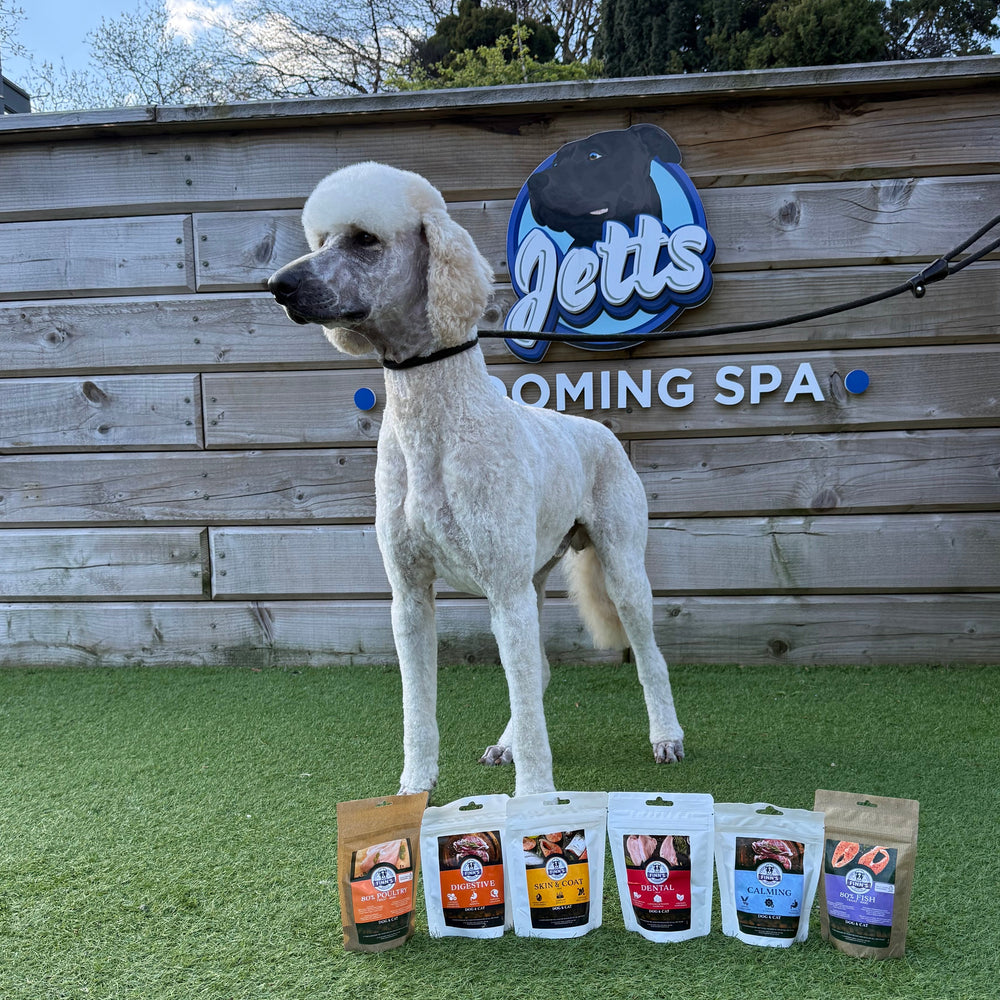 Finn's Functional treats - Calming