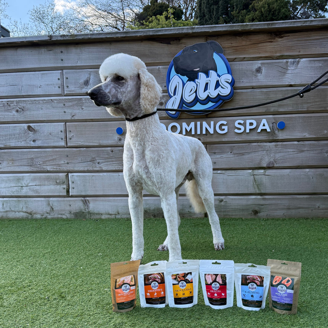 Finn's Functional treats - Dental