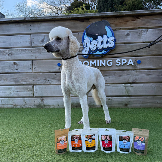 Finn's Functional treats - Dental