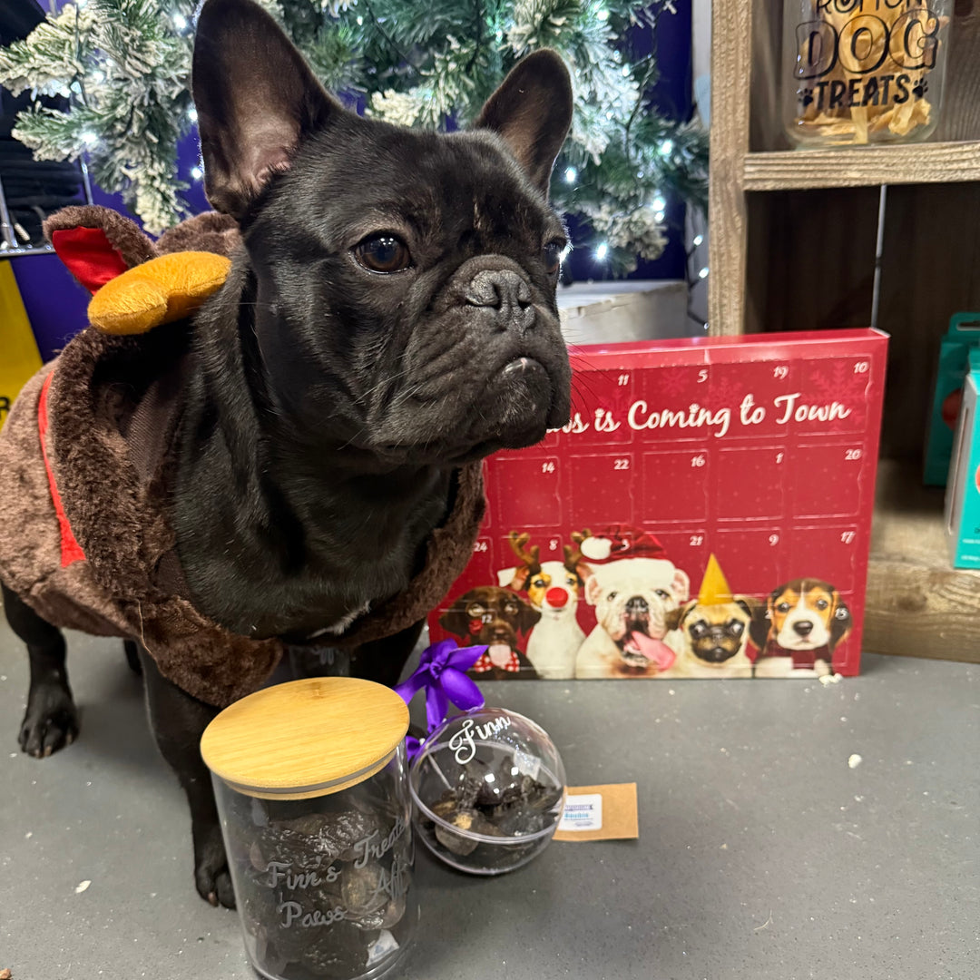 Finn's Liver Snack Gift Jar