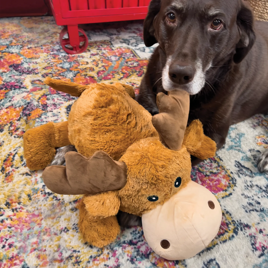 KONG - Cozie Jumbo Marvin Moose - XL