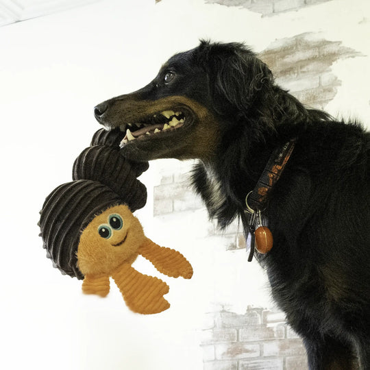 KONG - CuteSeas Rufflez Crab