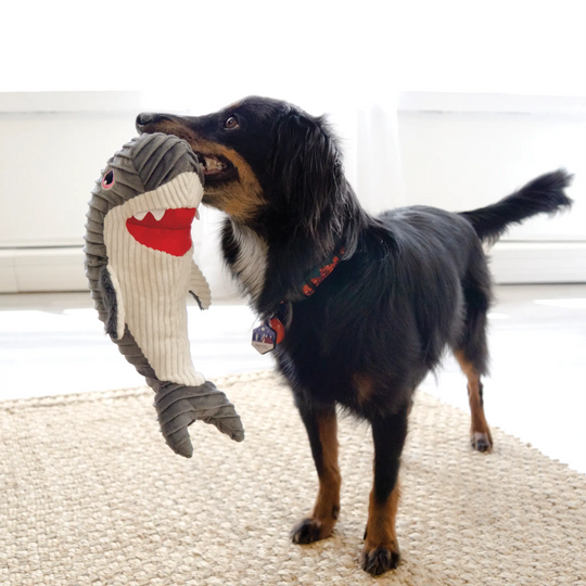 KONG - CuteSeas Rufflez Shark