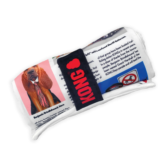 KONG - Daily Newspaper