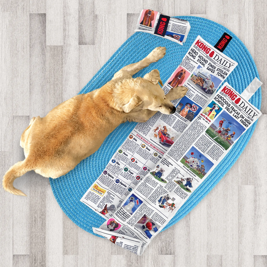 KONG - Daily Newspaper