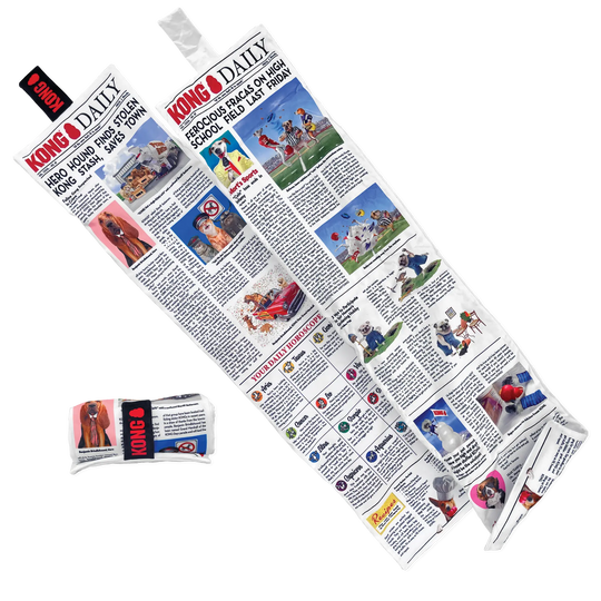 KONG - Daily Newspaper