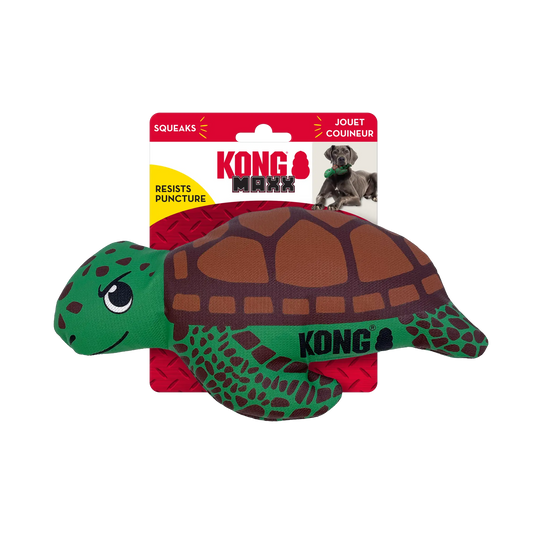 KONG - Maxx Turtle