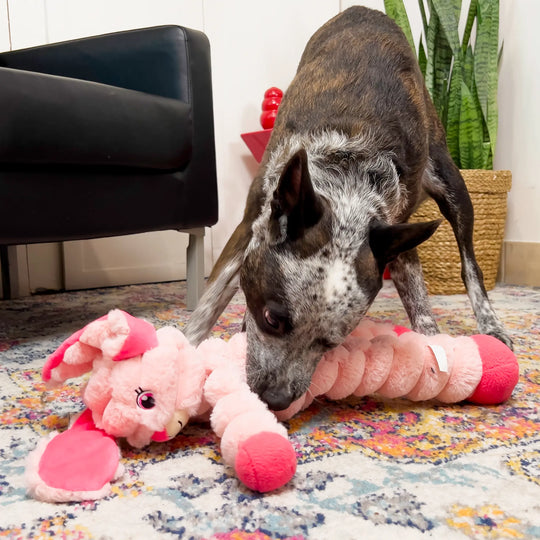 KONG - Shakers Crumples Bunny