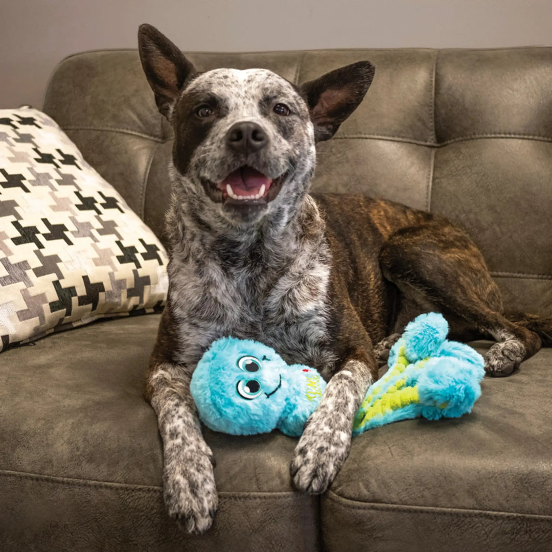 KONG - Wubba Octopus