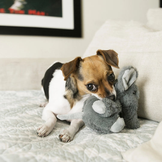 Kong Kiddos Comfort Elephant XS