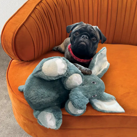 Kong Kiddos Comfort Elephant XL