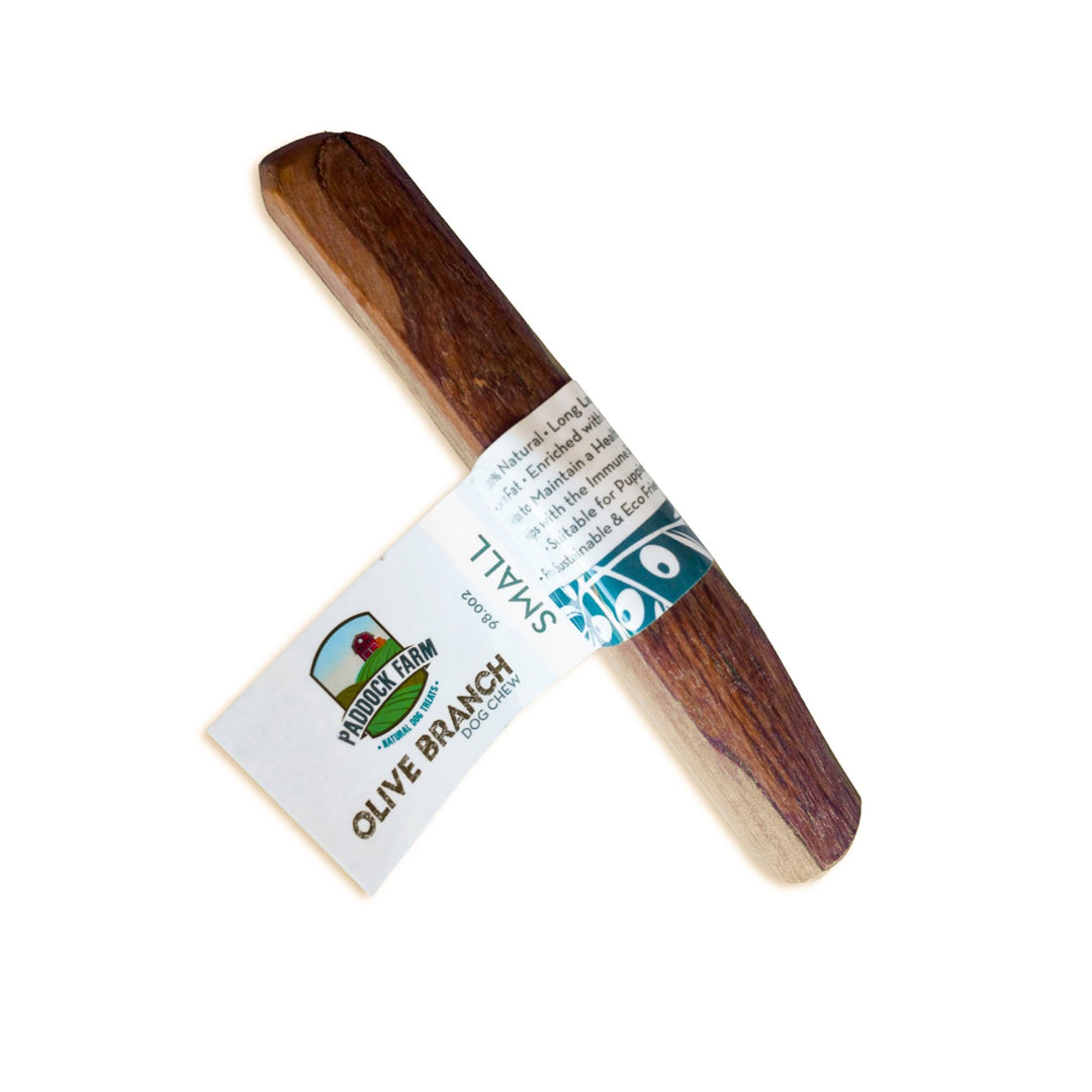 Olive Branch Dog Chew