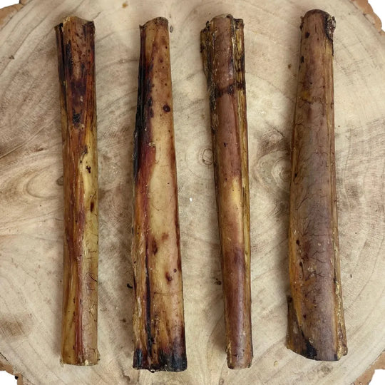 Nova - Ostrich Marrow Bone