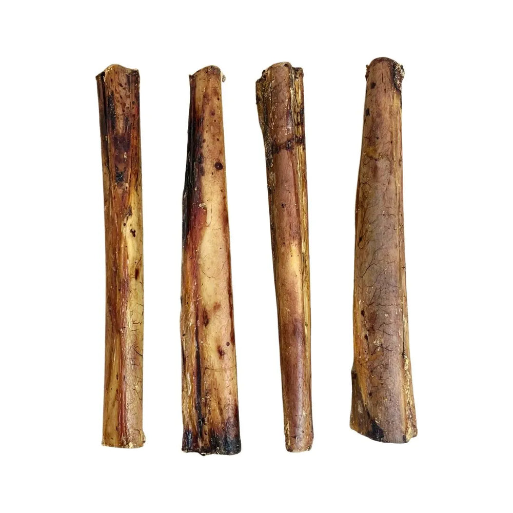 Nova - Ostrich Marrow Bone