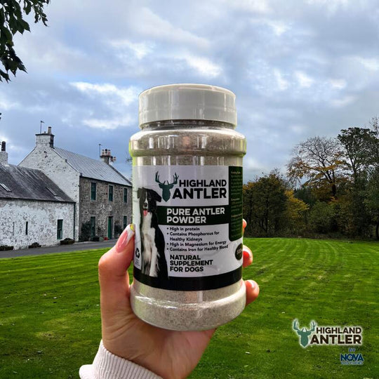 Nova - Pure Antler Powder - 500ml