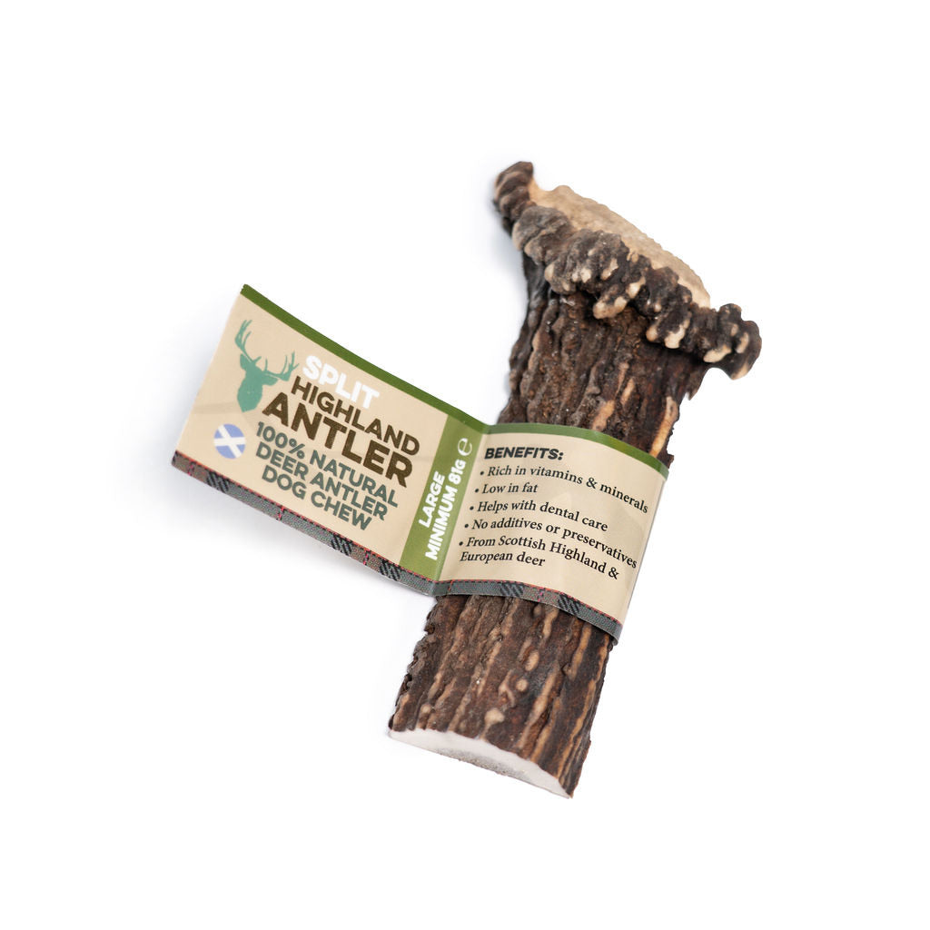 Nova - Split Red Deer Antler