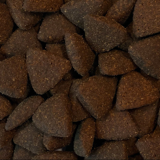 Close-up view of Finn's Free Range Turkey kibble. Brown triangular peices.