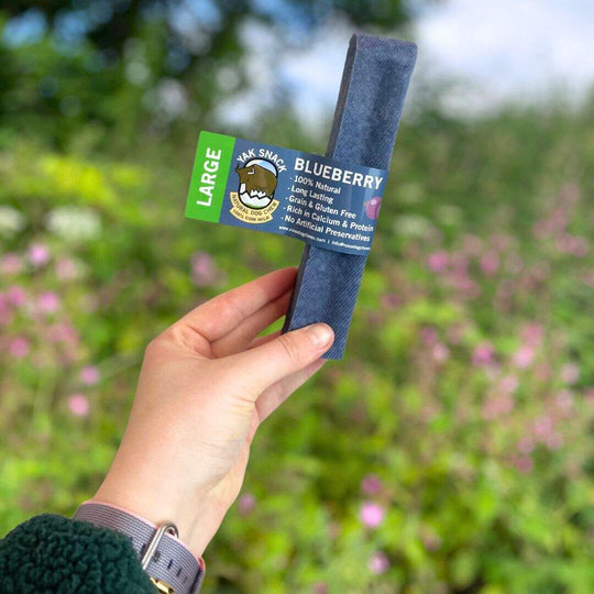 Nova Yak Snack - Blueberry