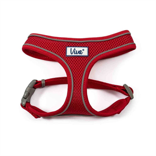 Viva Mesh Harness