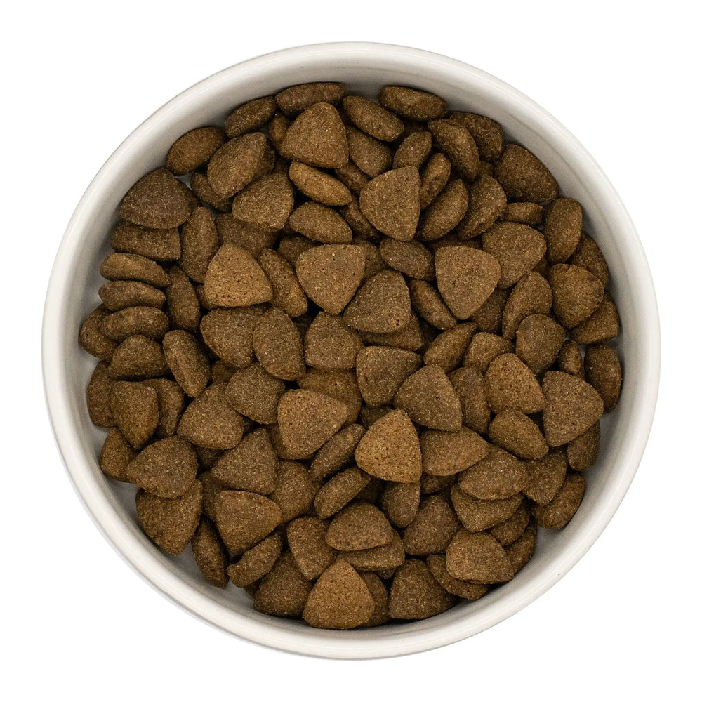 Finn's Angus Beef Dry Complete Dog Food
