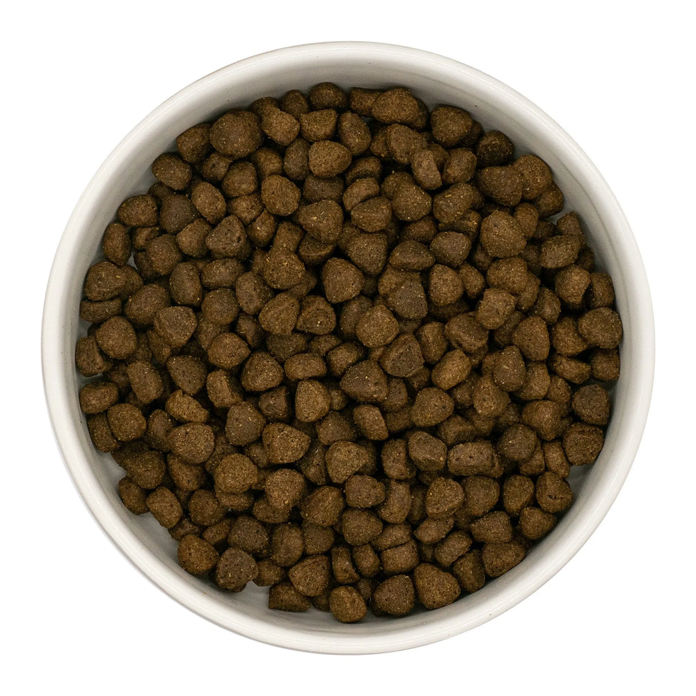 Finn's Puppy Angus Beef Dry Complete Dog Food
