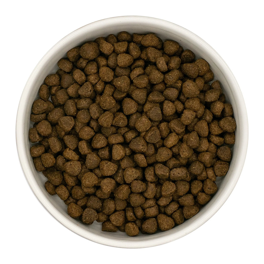 Finn's Puppy Angus Beef Dry Complete Dog Food