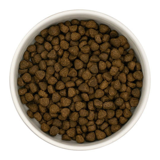 Finn's Puppy Angus Beef Dry Complete Dog Food