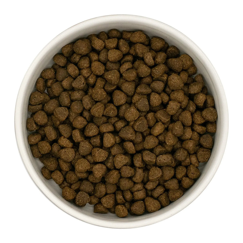 White bowl filled with brown pet food on a white background