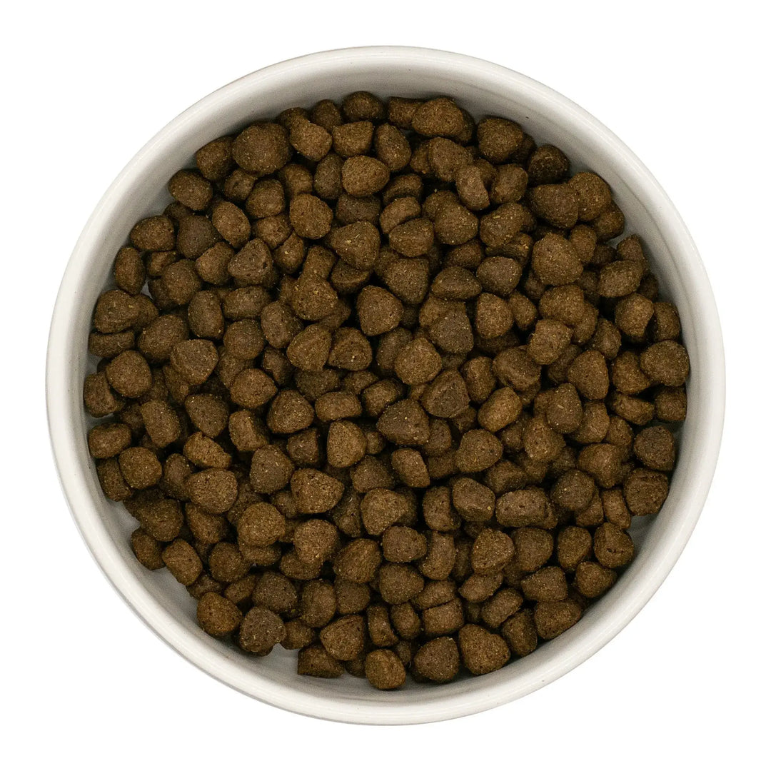 White bowl filled with brown pet food on a white background