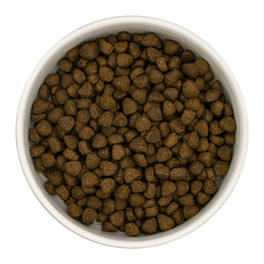 White bowl filled with brown pet food on a white background