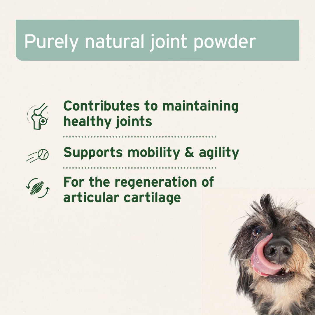 Green Lipped Mussel Capsules for Dogs by AniForte