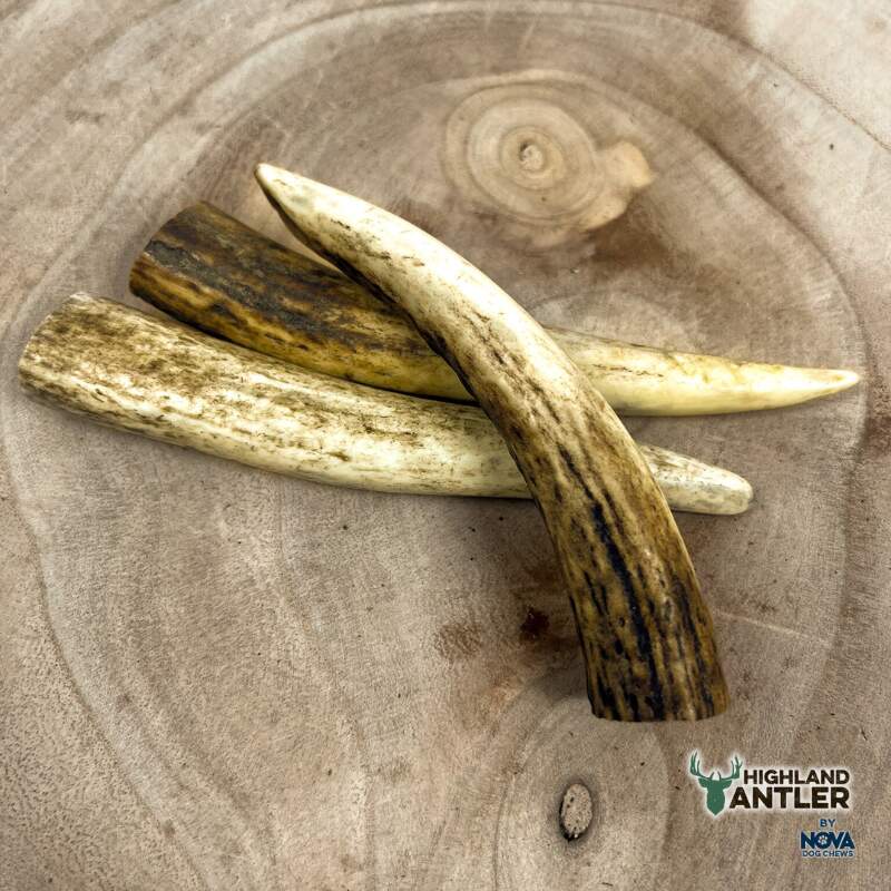 Full Antler Dog Chew