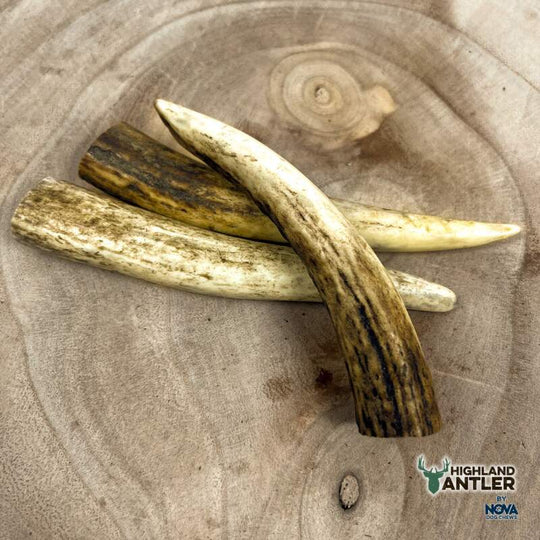 Full Antler Dog Chew