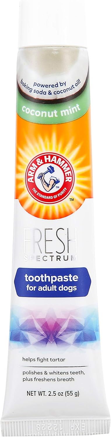 Arm & Hammer toothpaste for adult dogs with coconut mint flavor on a white background